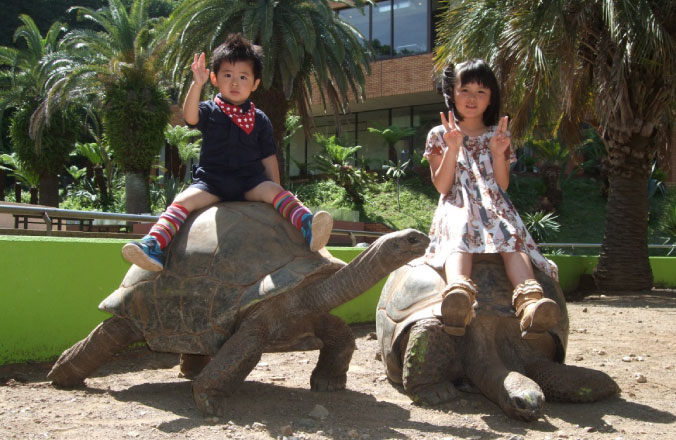iZooでゾウガメに乗る子供たち