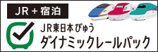JR東日本びゅうダイナミックレールパック